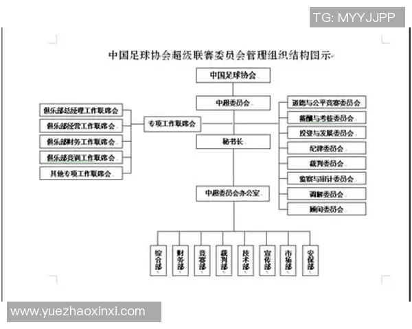 足球协会的历史发展与组织结构全面解析